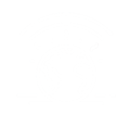 003 copy3
